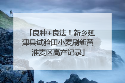 良种+良法！新乡延津县试验田小麦刷新黄淮麦区高产记录