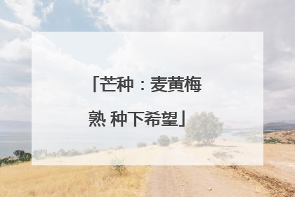芒种：麦黄梅熟 种下希望