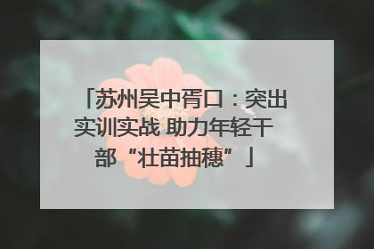 苏州吴中胥口：突出实训实战 助力年轻干部“壮苗抽穗”
