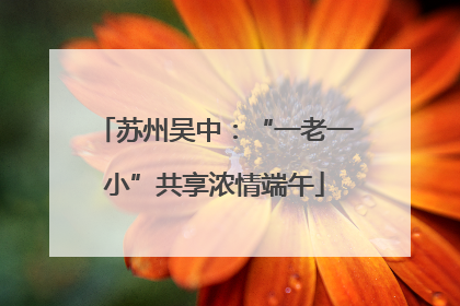 苏州吴中：“一老一小”共享浓情端午