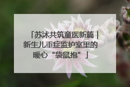 苏沭共筑童医新篇｜新生儿重症监护室里的暖心“袋鼠抱”
