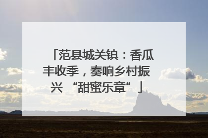 范县城关镇：香瓜丰收季，奏响乡村振兴 “甜蜜乐章”