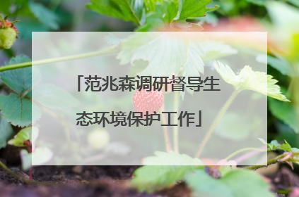 范兆森调研督导生态环境保护工作