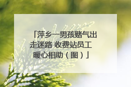 萍乡一男孩赌气出走迷路 收费站员工暖心相助（图）