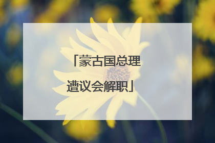 蒙古国总理遭议会解职