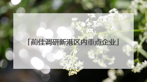 蔺佳调研新港区内重点企业