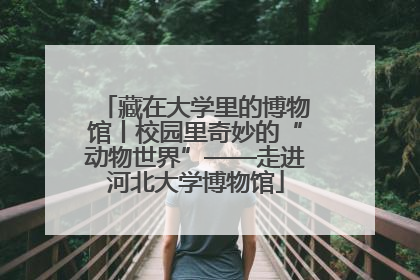 藏在大学里的博物馆丨校园里奇妙的“动物世界”——走进河北大学博物馆