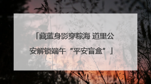 藏蓝身影穿粽海 道里公安解锁端午“平安盲盒”