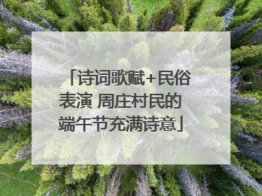 诗词歌赋+民俗表演 周庄村民的端午节充满诗意