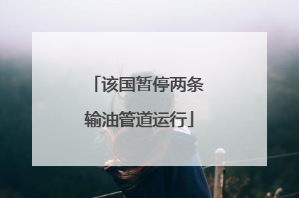 该国暂停两条输油管道运行