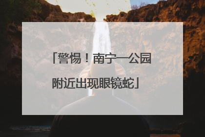 警惕！南宁一公园附近出现眼镜蛇