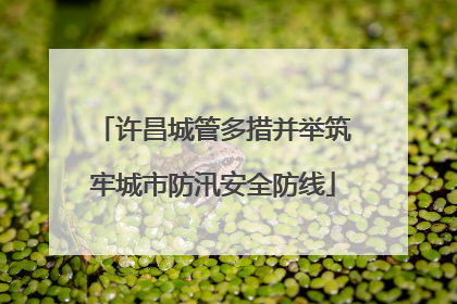 许昌城管多措并举筑牢城市防汛安全防线