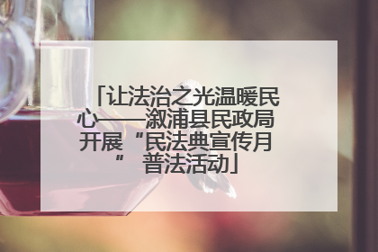 让法治之光温暖民心——溆浦县民政局开展“民法典宣传月” 普法活动