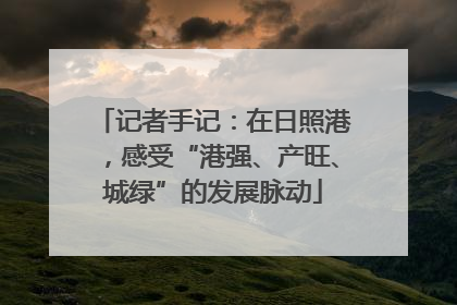 记者手记：在日照港，感受“港强、产旺、城绿”的发展脉动