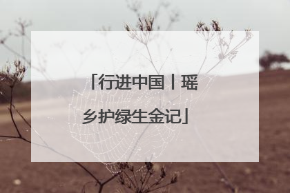 行进中国丨瑶乡护绿生金记