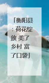 衡阳县：荷花绽放 美了乡村 富了口袋