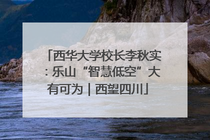 西华大学校长李秋实：乐山“智慧低空”大有可为｜西望四川