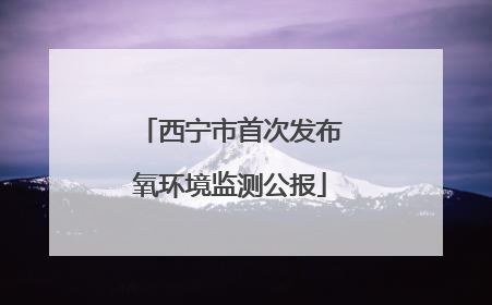 西宁市首次发布氧环境监测公报
