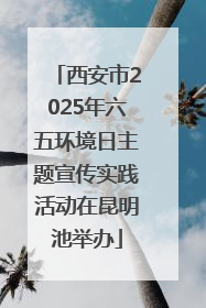 西安市2025年六五环境日主题宣传实践活动在昆明池举办