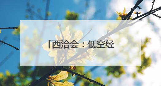 西洽会：低空经济展商引关注