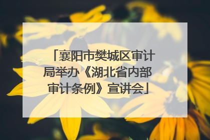 襄阳市樊城区审计局举办《湖北省内部审计条例》宣讲会