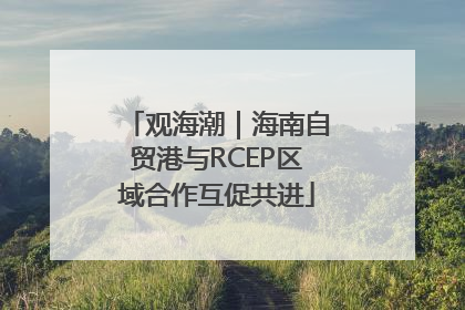 观海潮｜海南自贸港与RCEP区域合作互促共进