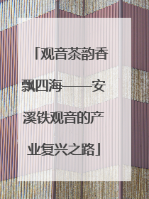 观音茶韵香飘四海——安溪铁观音的产业复兴之路