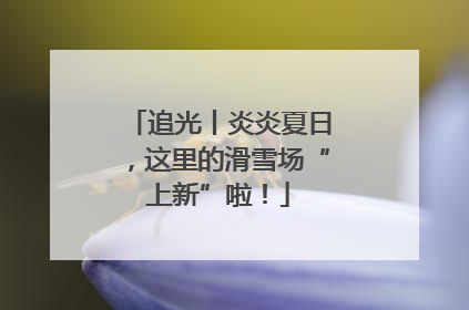 追光丨炎炎夏日，这里的滑雪场“上新”啦！