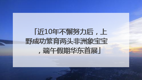 近10年不懈努力后，上野成功繁育两头非洲象宝宝，端午假期华东首展