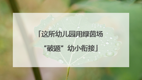 这所幼儿园用绿茵场“破题”幼小衔接