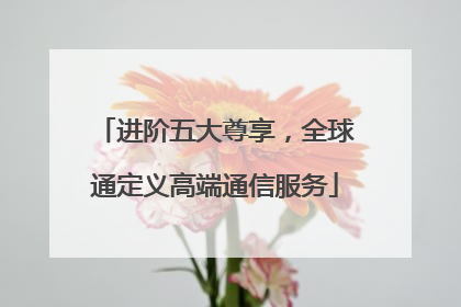 进阶五大尊享，全球通定义高端通信服务