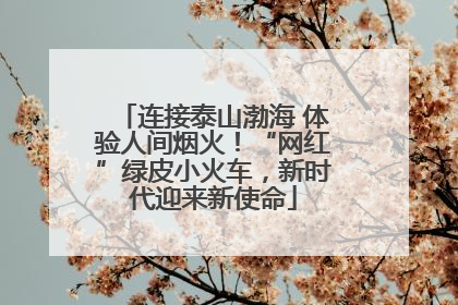 连接泰山渤海 体验人间烟火！“网红”绿皮小火车，新时代迎来新使命