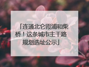 连通北仑霞浦和柴桥！这条城市主干路规划选址公示