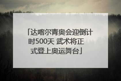 达喀尔青奥会迎倒计时500天 武术将正式登上奥运舞台