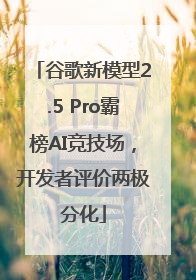 谷歌新模型2.5 Pro霸榜AI竞技场，开发者评价两极分化