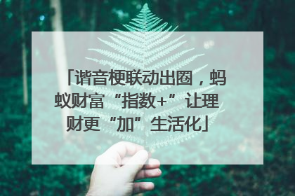 谐音梗联动出圈，蚂蚁财富“指数+”让理财更“加”生活化