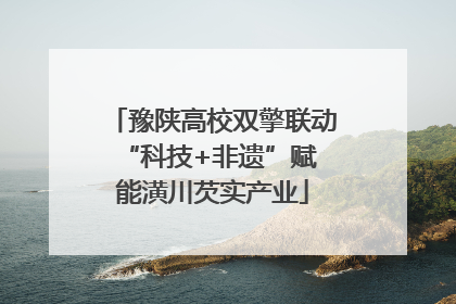 豫陕高校双擎联动 “科技+非遗”赋能潢川芡实产业
