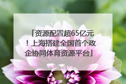 资源配置超65亿元！上海搭建全国首个政企协同体育资源平台