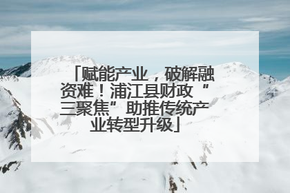 赋能产业，破解融资难！浦江县财政“三聚焦”助推传统产业转型升级