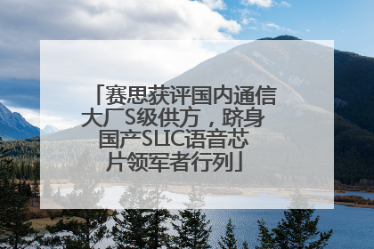 赛思获评国内通信大厂S级供方，跻身国产SLIC语音芯片领军者行列