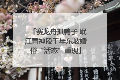 赛龙舟抓鸭子 岷江青神段千年东坡婚俗“活态”重现
