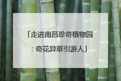 走进南昌珍奇植物园：奇花异草引游人