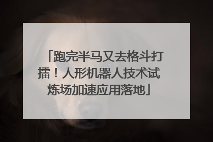 跑完半马又去格斗打擂！人形机器人技术试炼场加速应用落地