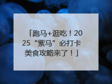 跑马+逛吃！2025“紫马”必打卡美食攻略来了！