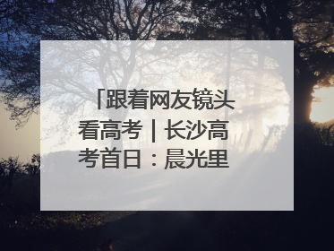 跟着网友镜头看高考｜长沙高考首日：晨光里的奔赴与守望