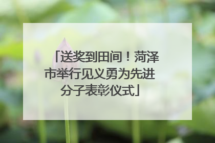 送奖到田间！菏泽市举行见义勇为先进分子表彰仪式