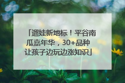 遛娃新地标！平谷南瓜嘉年华，30+品种让孩子边玩边涨知识
