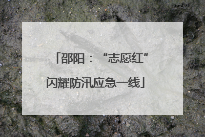 邵阳：“志愿红”闪耀防汛应急一线