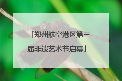 郑州航空港区第三届非遗艺术节启幕