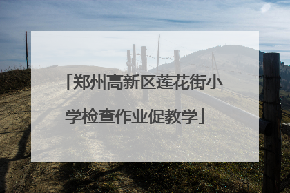 郑州高新区莲花街小学检查作业促教学